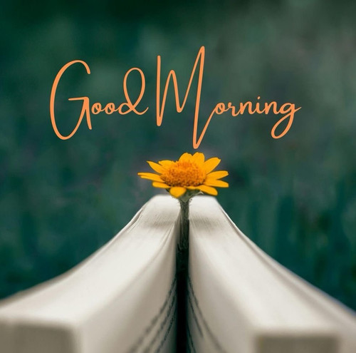 G hQHmtXIAA6Cq3?format=jpg.jpg