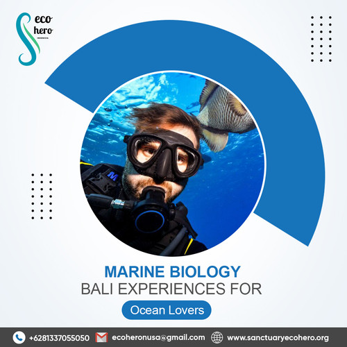 Marine Biology Bali Experiences for Ocean Lovers.jpg