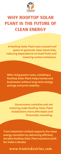 Why Rooftop Solar Plant Is the Future of Clean Energy.png