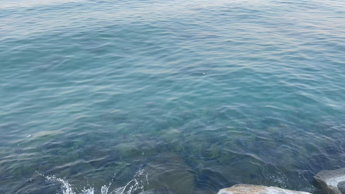 nP 5hmyNcCH5iIMY.jpg