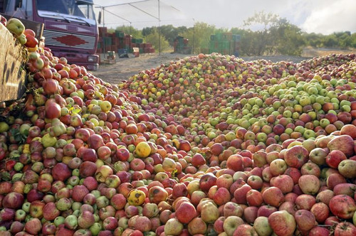 G cI5lbXQAAXP34?format=jpg.jpg