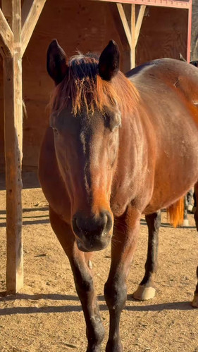 cR8ZCWq jhbv8e u.jpg