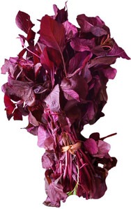 100000 red cheera seeds coopany (1).jpg