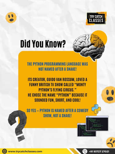 Did You Know This About Python Start Learning It the Right Way.jpg