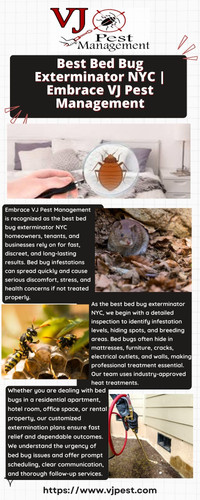 Best Bed Bug Exterminator NYC  Embrace VJ Pest Management.jpg