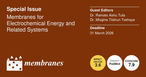 G iIZziXUAAQdwY?format=jpg.jpg