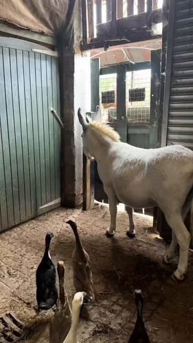 5EQDe3 Q2HdpDvOO.jpg