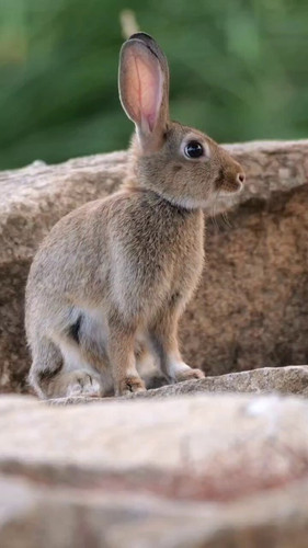 6 fTwIBtlCCqNC2n.jpg