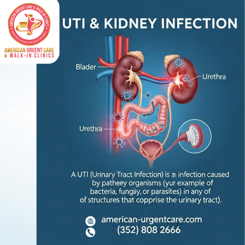 UTI & Kidney Infection.png