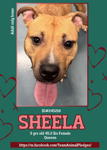 G eNueaWUAAcmKK?format=jpg.jpg