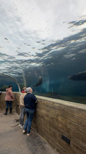 83Zk9v54k5YZl 28.jpg