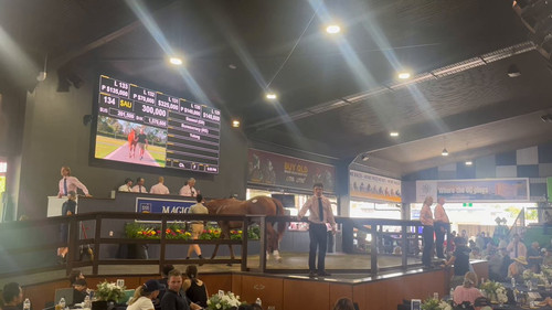 hjaTYh o2ZpO9PYY.jpg