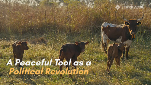 rwXN8xZLqDIQ hnC.jpg