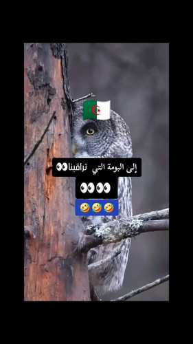 9n9At WkfxwGmjvc.jpg