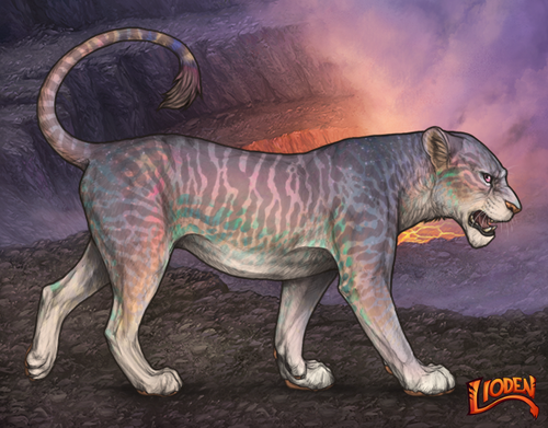 lioden wardrobe 2026 01 14T105327.365.png