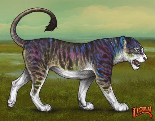 lioden wardrobe 2026 01 14T105038.150.png