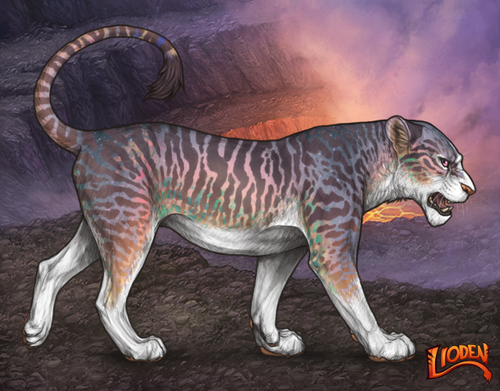 lioden wardrobe 2026 01 14T105351.617.png