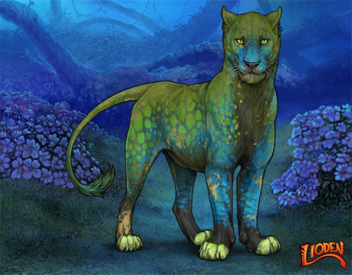 lioden wardrobe 2026 01 14T111649.981.png