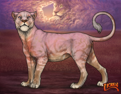 lioden wardrobe 2026 01 14T112104.300.png