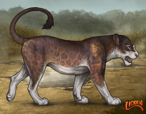 lioden wardrobe 2026 01 14T110608.436.png