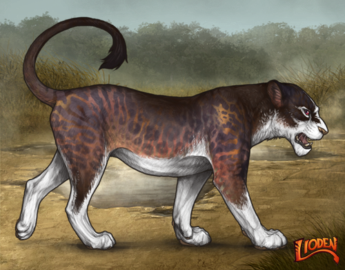 lioden wardrobe 2026 01 14T110633.840.png