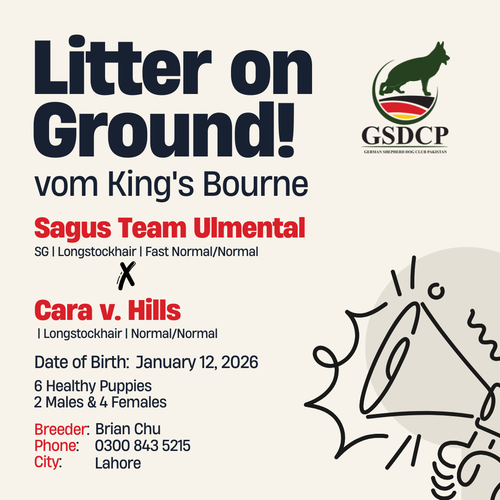 uc?export=download&id=1r7e8qKV0IN85fcs WGOXHpXrq8NthMpQ.png