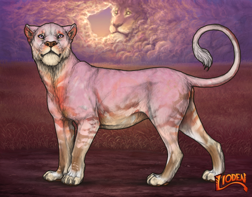 lioden wardrobe 2026 01 14T112130.715.png