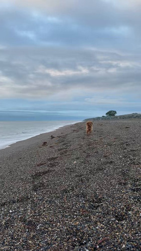 m55qup4Qcs40v hz.jpg