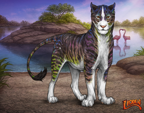 lioden wardrobe 2026 01 14T105712.079.png