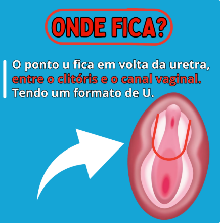 Captura de tela 2026 01 13 172009.png