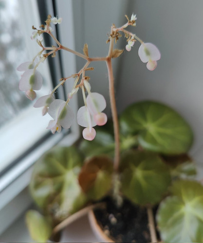 G e5oYAW8AA5kaN?format=jpg.jpg