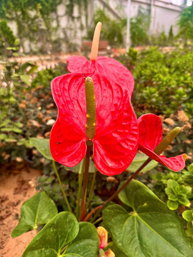 G hMhv9bQAIQgfX?format=jpg.jpg