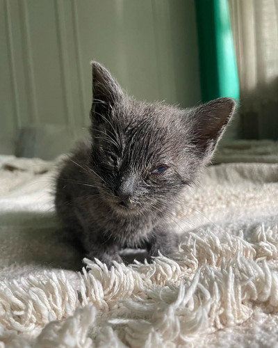 G gcnHGX0AApdth?format=jpg.jpg