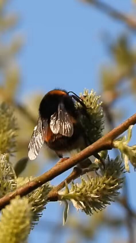 cmNqmPxDC1k e6sv.jpg