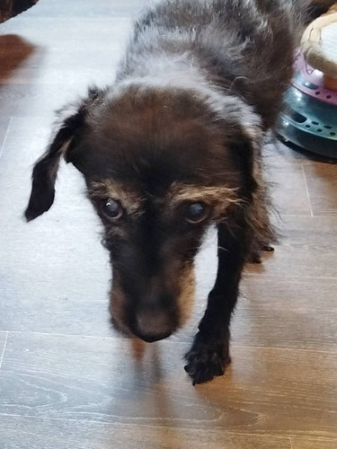 G iLc0aWUAApSwz?format=jpg.jpg