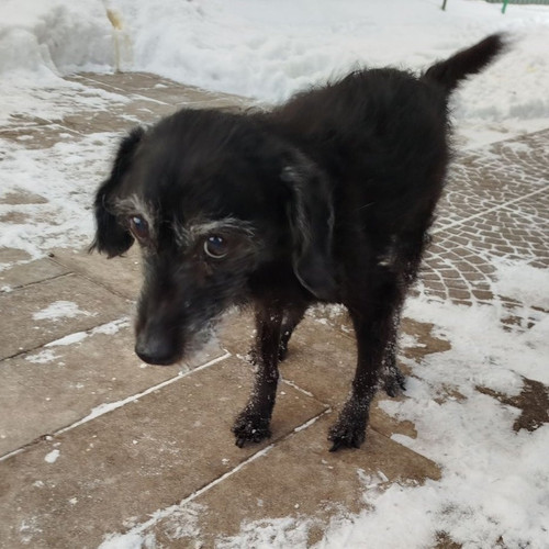 G iLf6jXwAAplXp?format=jpg.jpg