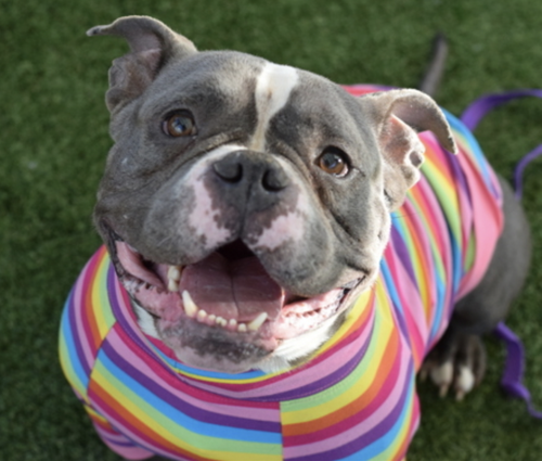 G hJHsAWEAALGcY?format=png.png