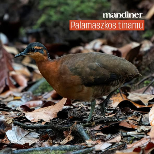 616175364 1384602467011765 8607602958705203620 n.jpg?stp=dst jpg s590x590 tt6& nc cat=107&ccb=1 7& n.jpg