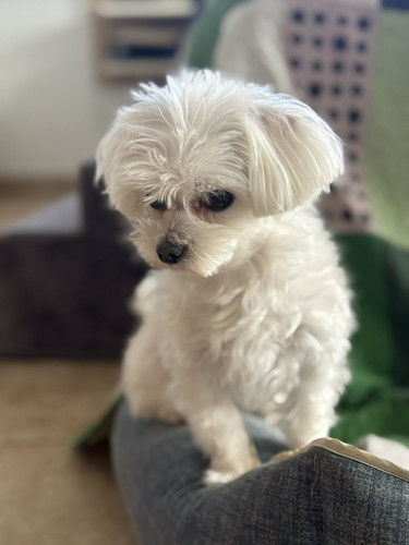 G iT4kiXcAAtJ13?format=jpg.jpg