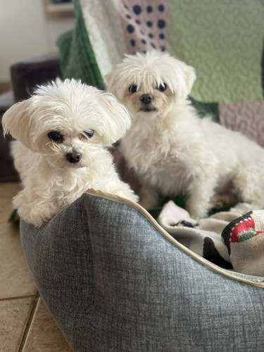 G iT4khWgAA3eak?format=jpg.jpg