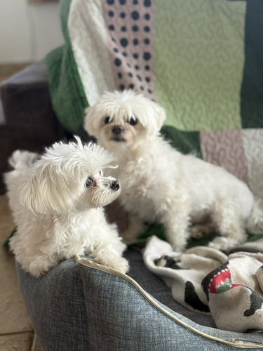 G iT4kiXoAApm5Q?format=jpg.jpg