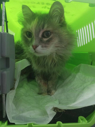 G izSubWgAILCq2?format=jpg.jpg