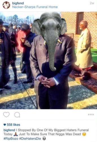 Screenshot 20260113 144031 Gallery.jpg