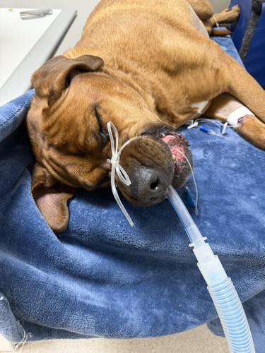 G hr49JbEAApSBL?format=jpg.jpg