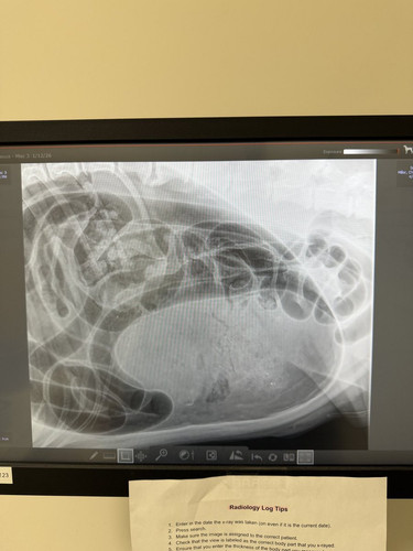 G hr49IawAAgwNw?format=jpg.jpg