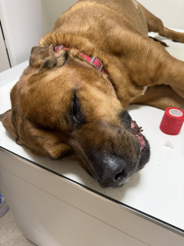 G hr49HbQAYU pl?format=jpg.jpg