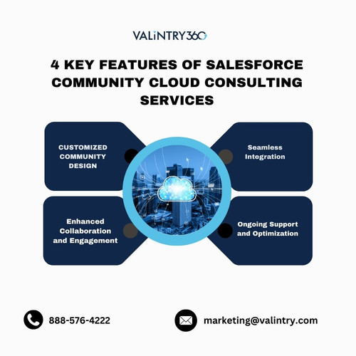 Salesforce Community Cloud Consulting Services.jpg
