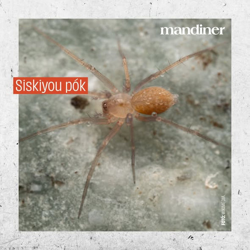 615824220 1384602450345100 8927220686542503029 n.jpg?stp=dst jpg s590x590 tt6& nc cat=109&ccb=1 7& n.jpg