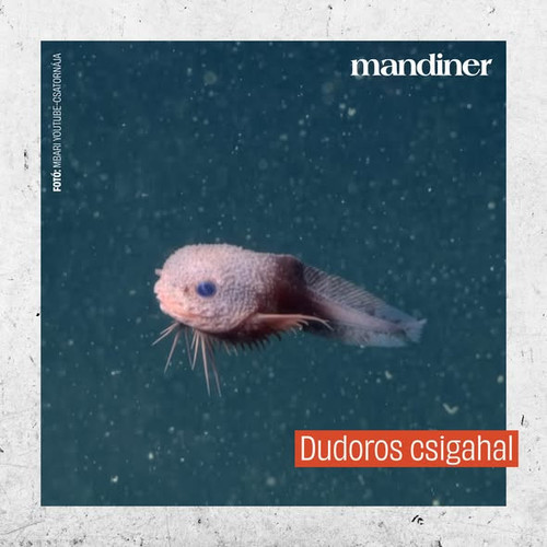 615045679 1384602457011766 1766912898035203672 n.jpg?stp=dst jpg s590x590 tt6& nc cat=107&ccb=1 7& n.jpg