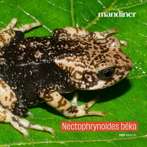 616944459 1384602453678433 8561294129840268108 n.jpg?stp=dst jpg s590x590 tt6& nc cat=104&ccb=1 7& n.jpg